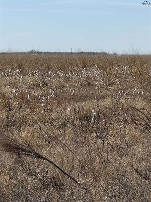 Tbd Cr 168 Haskell TX 75921