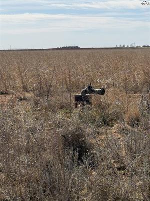 Tbd Cr 168 Haskell TX 75921