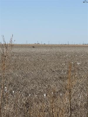 Tbd Cr 168 Haskell TX 75921