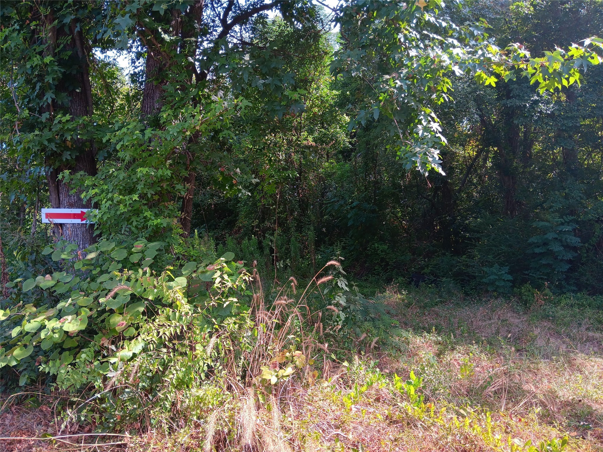 Tbd Private Road Carthage TX 75633