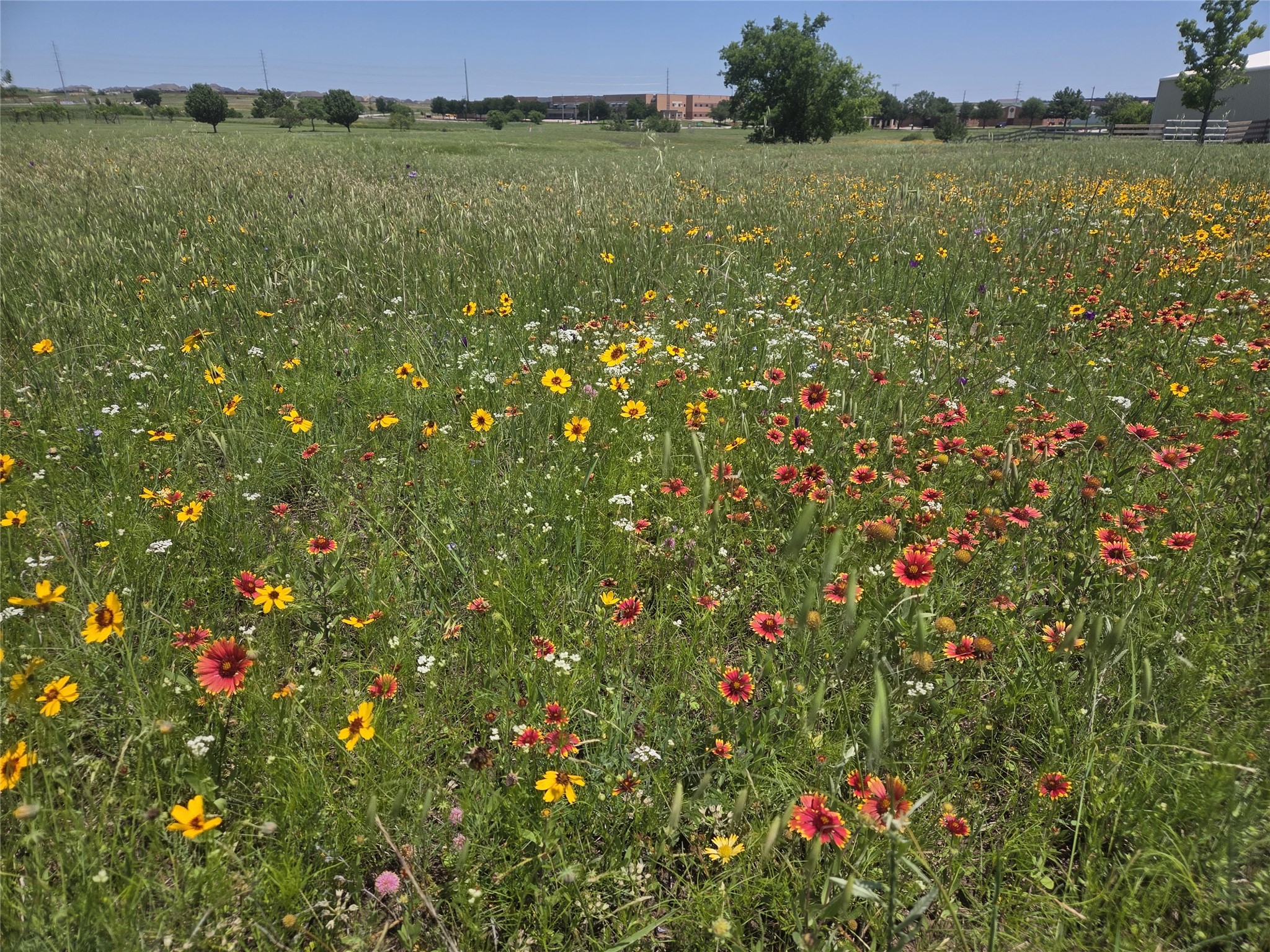 Tbd Savanna Drive Rhome TX 76078