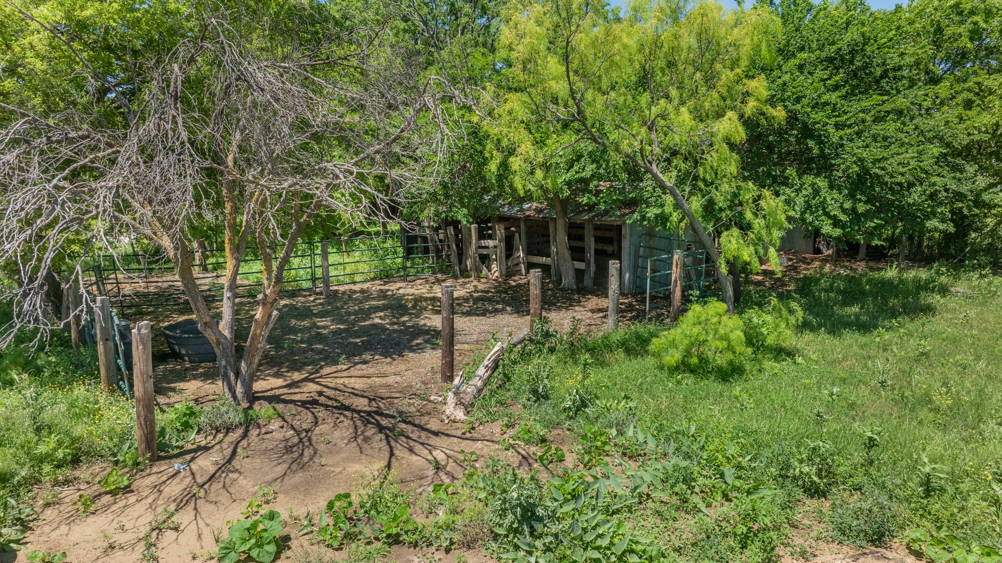 369 Sayles Avenue Tuscola TX 79562