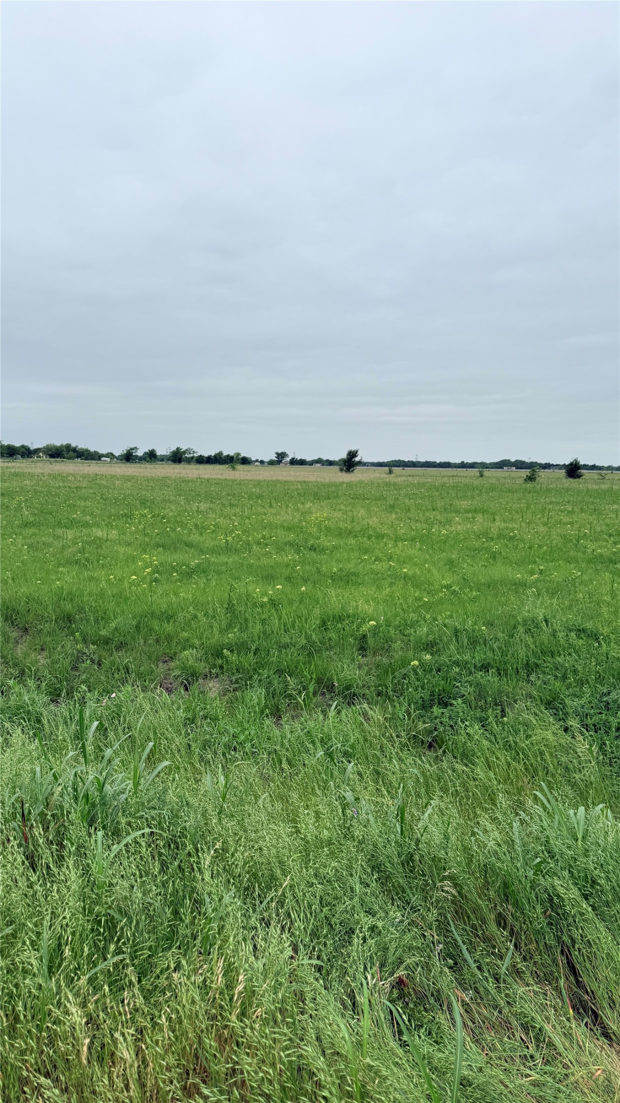 Fm 2613 Fm 2613 Kemp TX 75143