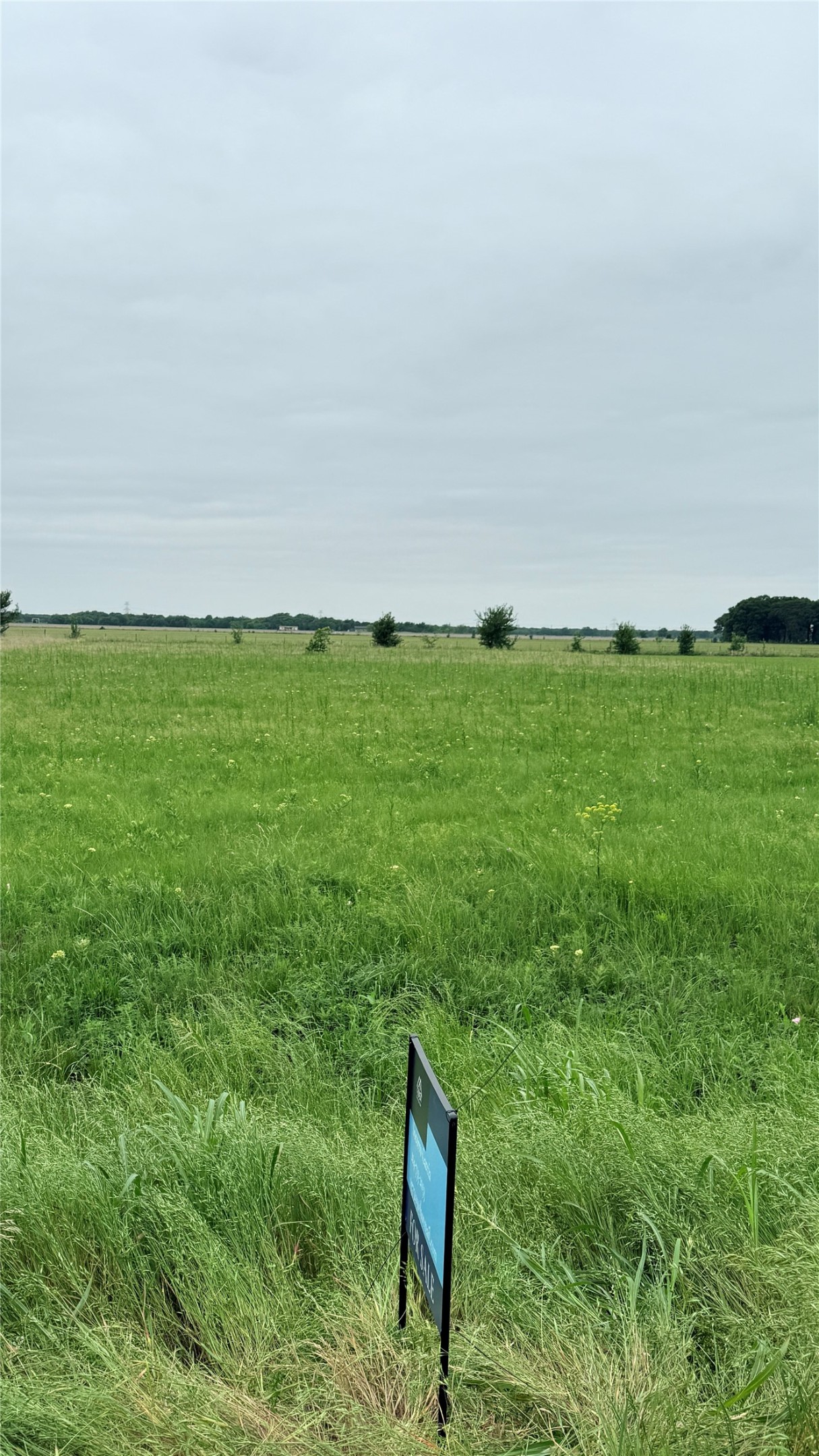 Fm 2613 Fm 2613 Kemp TX 75143