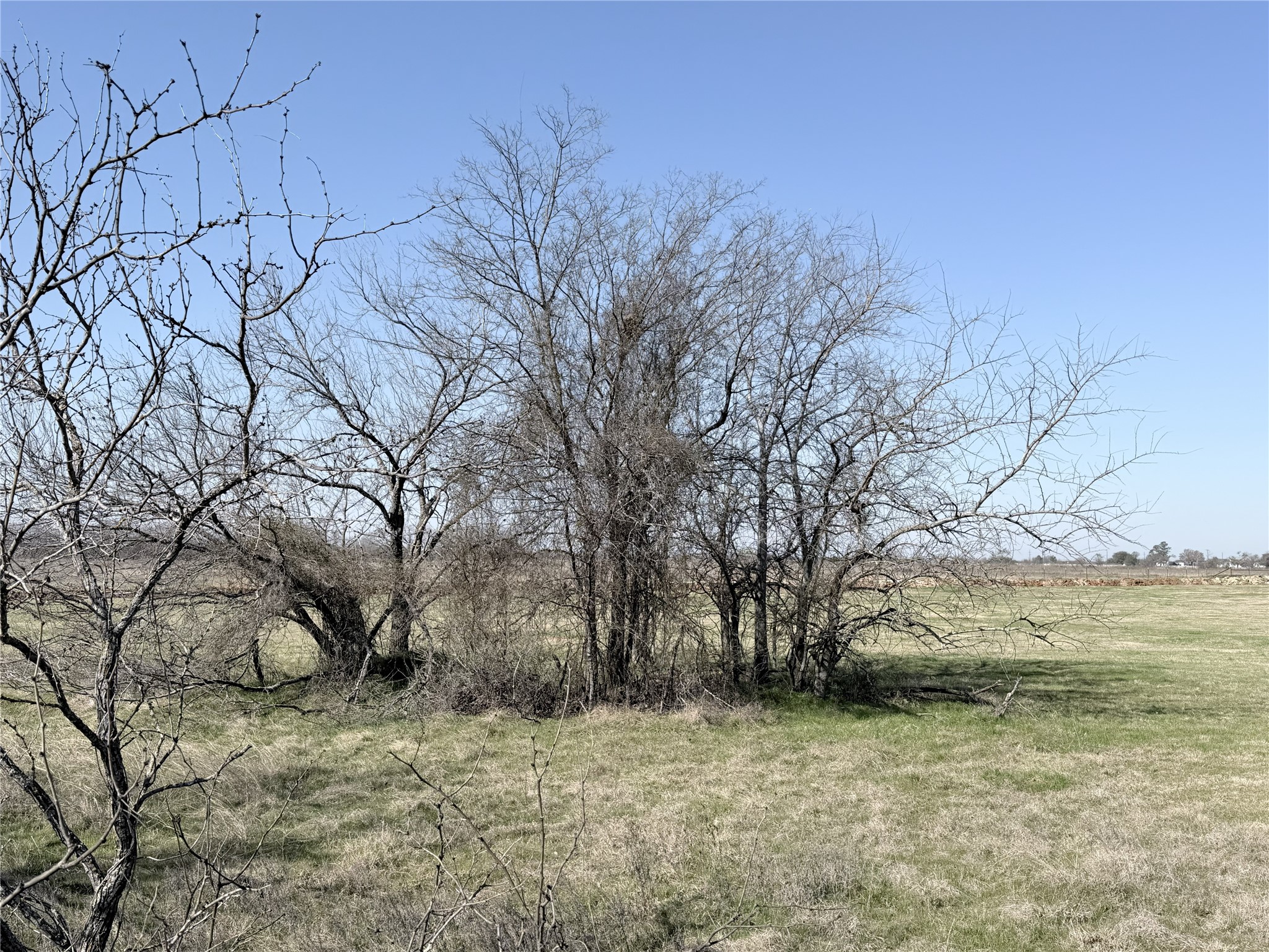 Lot 5 Lakewood Drive Whitney TX 76692