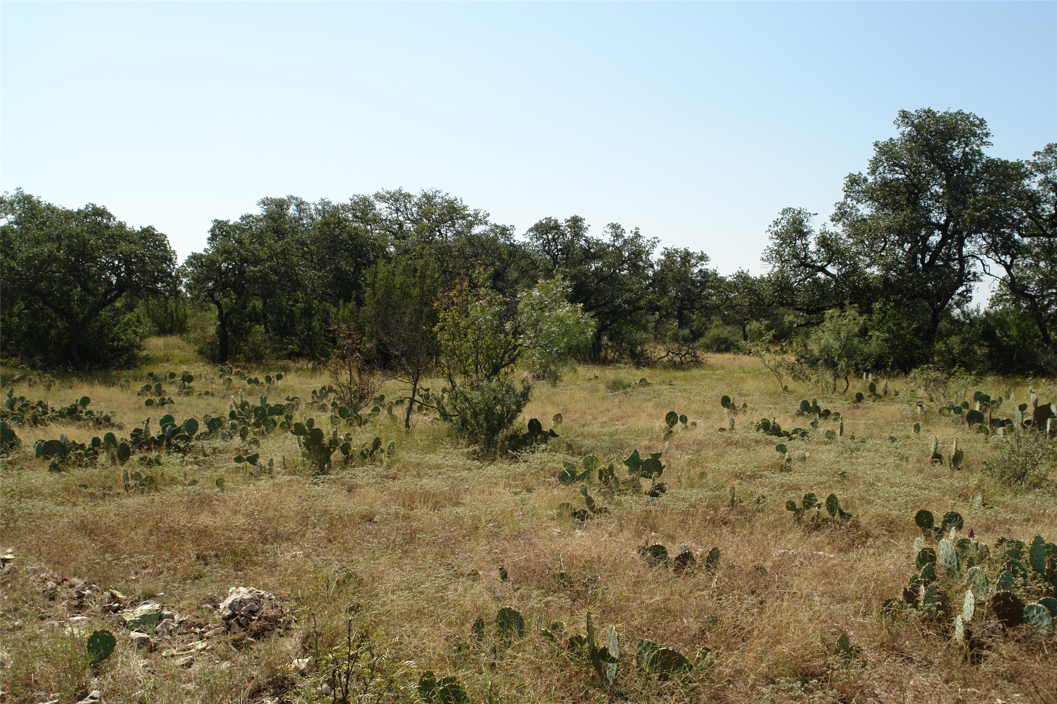 0002 Cr 146 Brady TX 76825