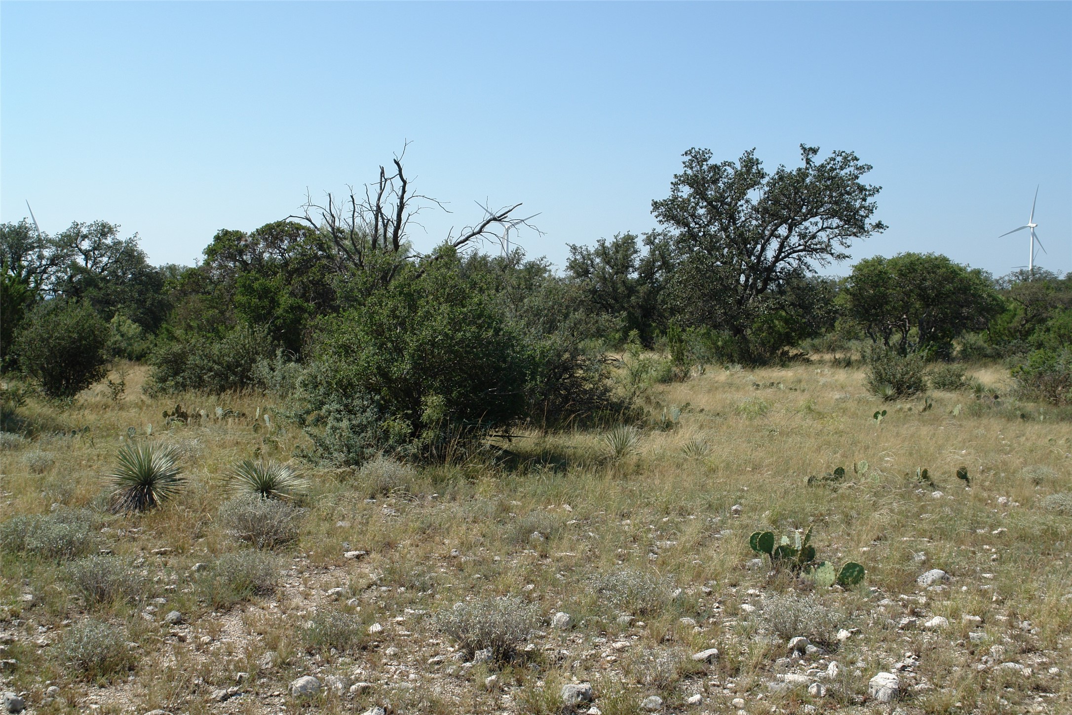 0002 Cr 146 Brady TX 76825