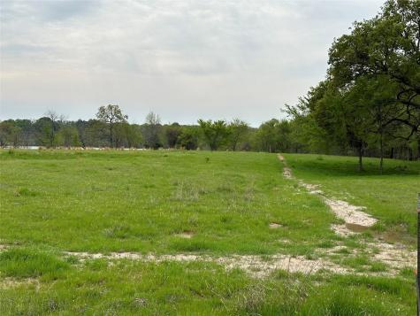 Tbd Lot 7 Anglers Point Drive Emory TX 75440