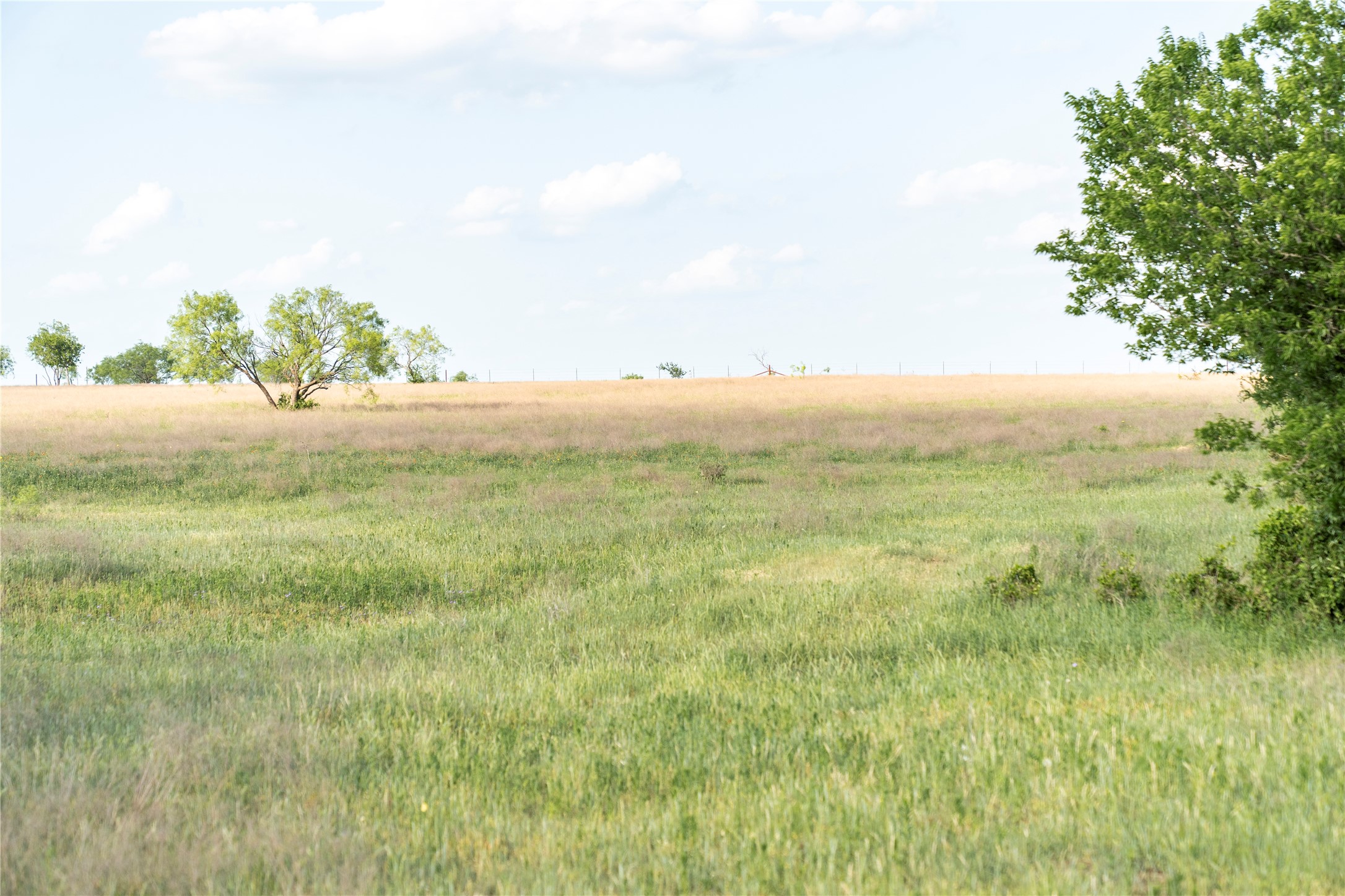 Tbd Rattler Hill Road Mcgregor TX 76657