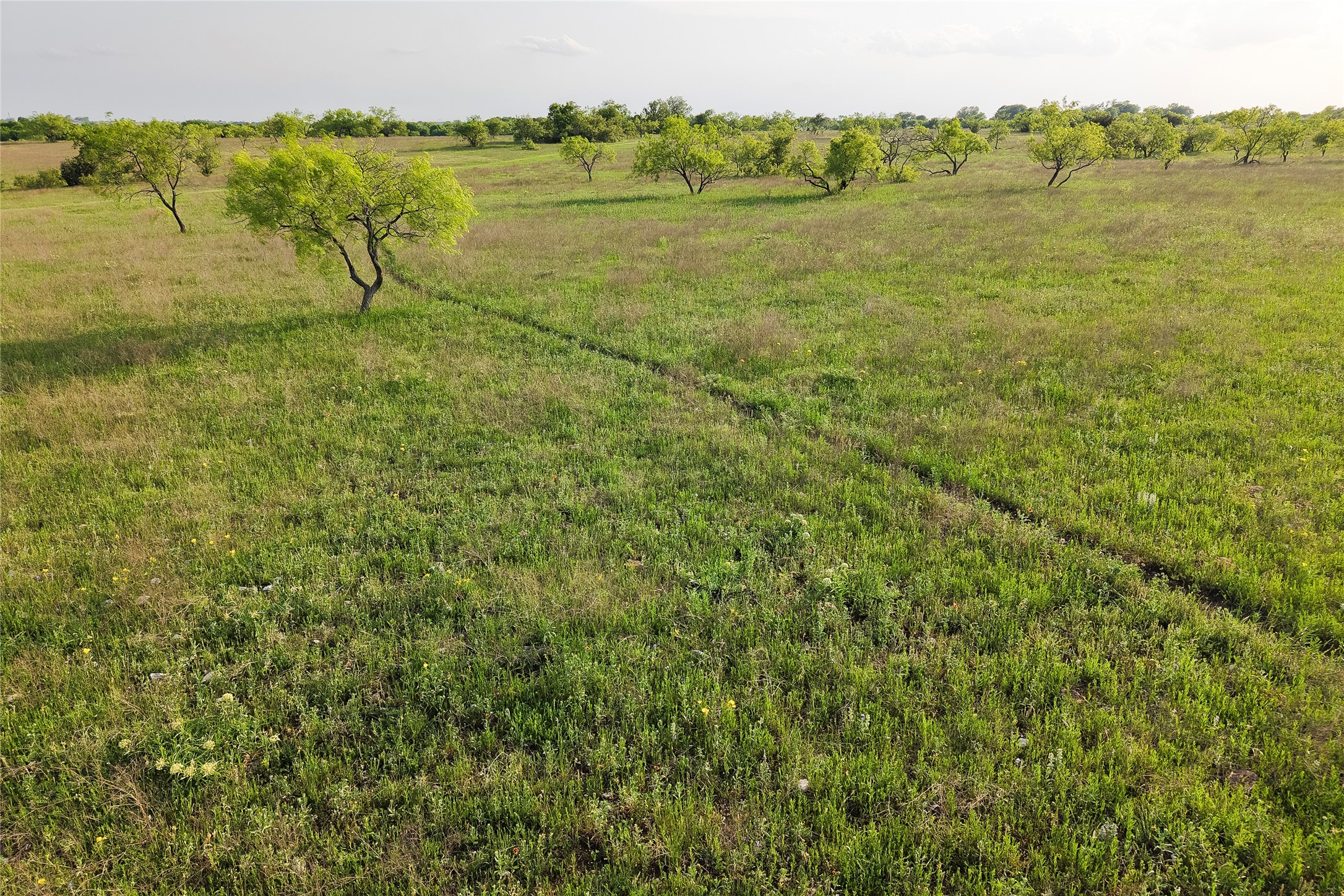 Tbd Rattler Hill Road Mcgregor TX 76657