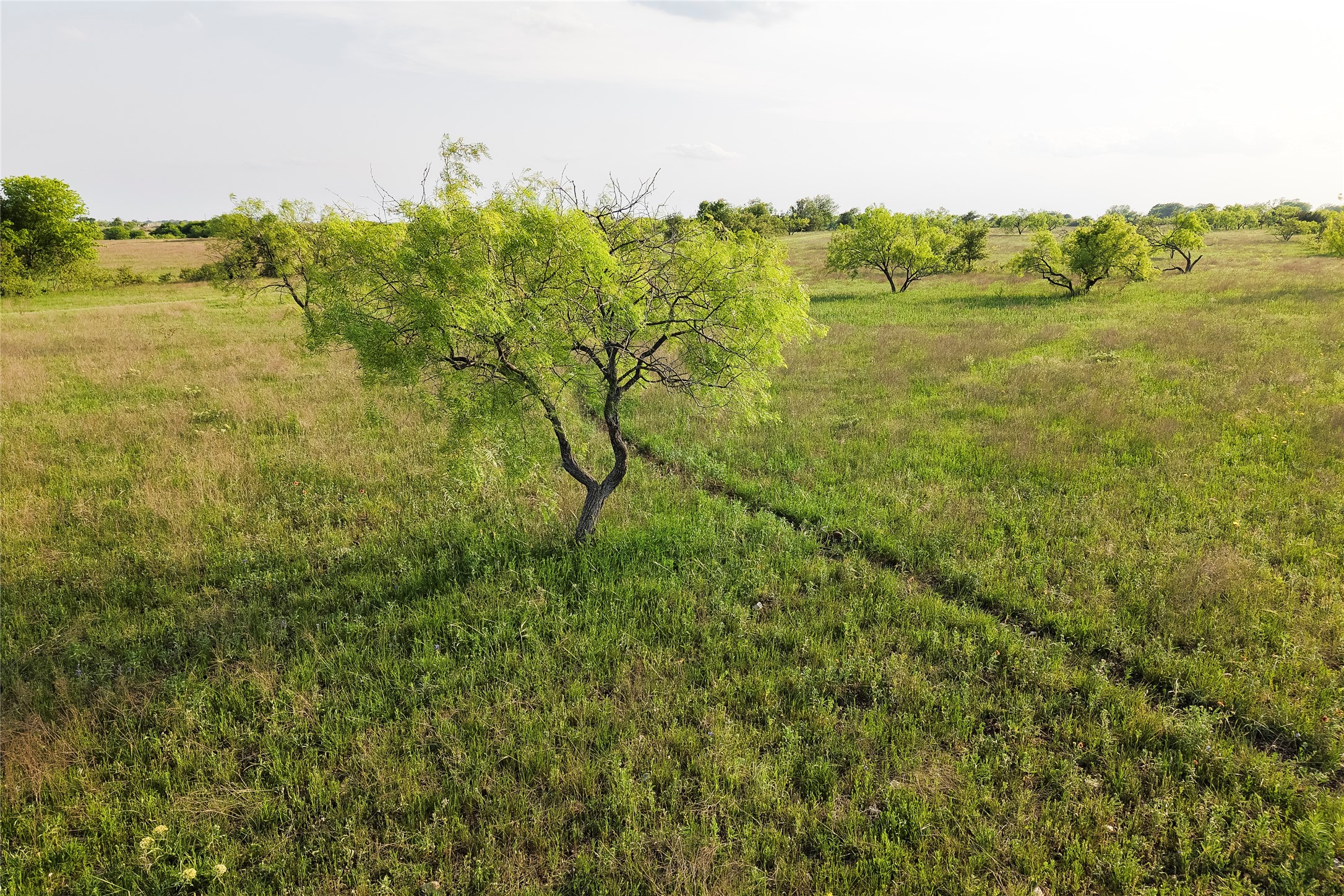 Tbd Rattler Hill Road Mcgregor TX 76657