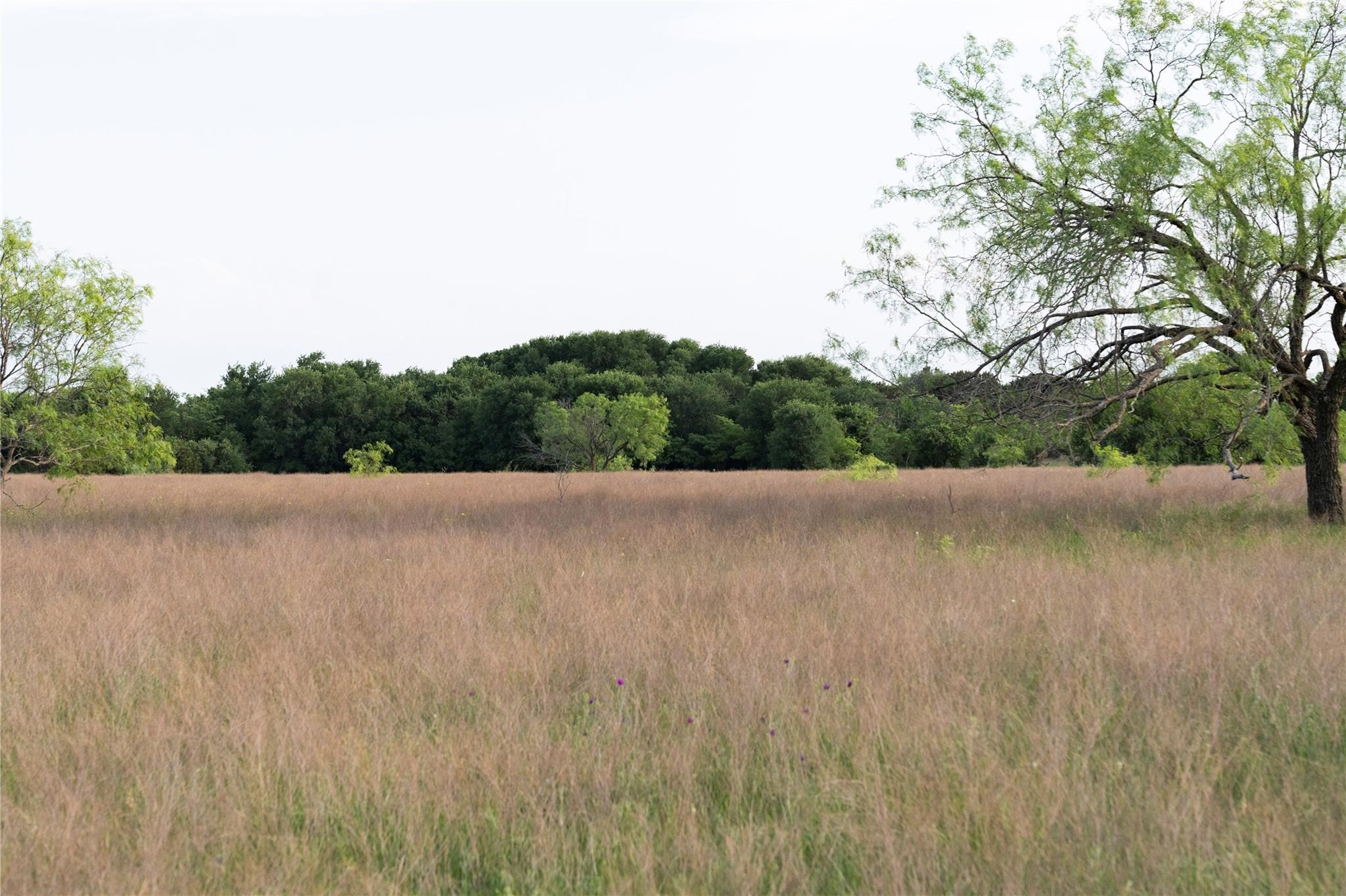 Tbd Rattler Hill Road Mcgregor TX 76657