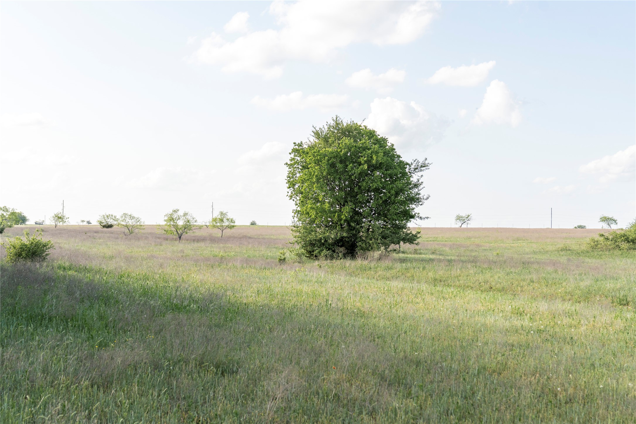 Tbd Rattler Hill Road Mcgregor TX 76657