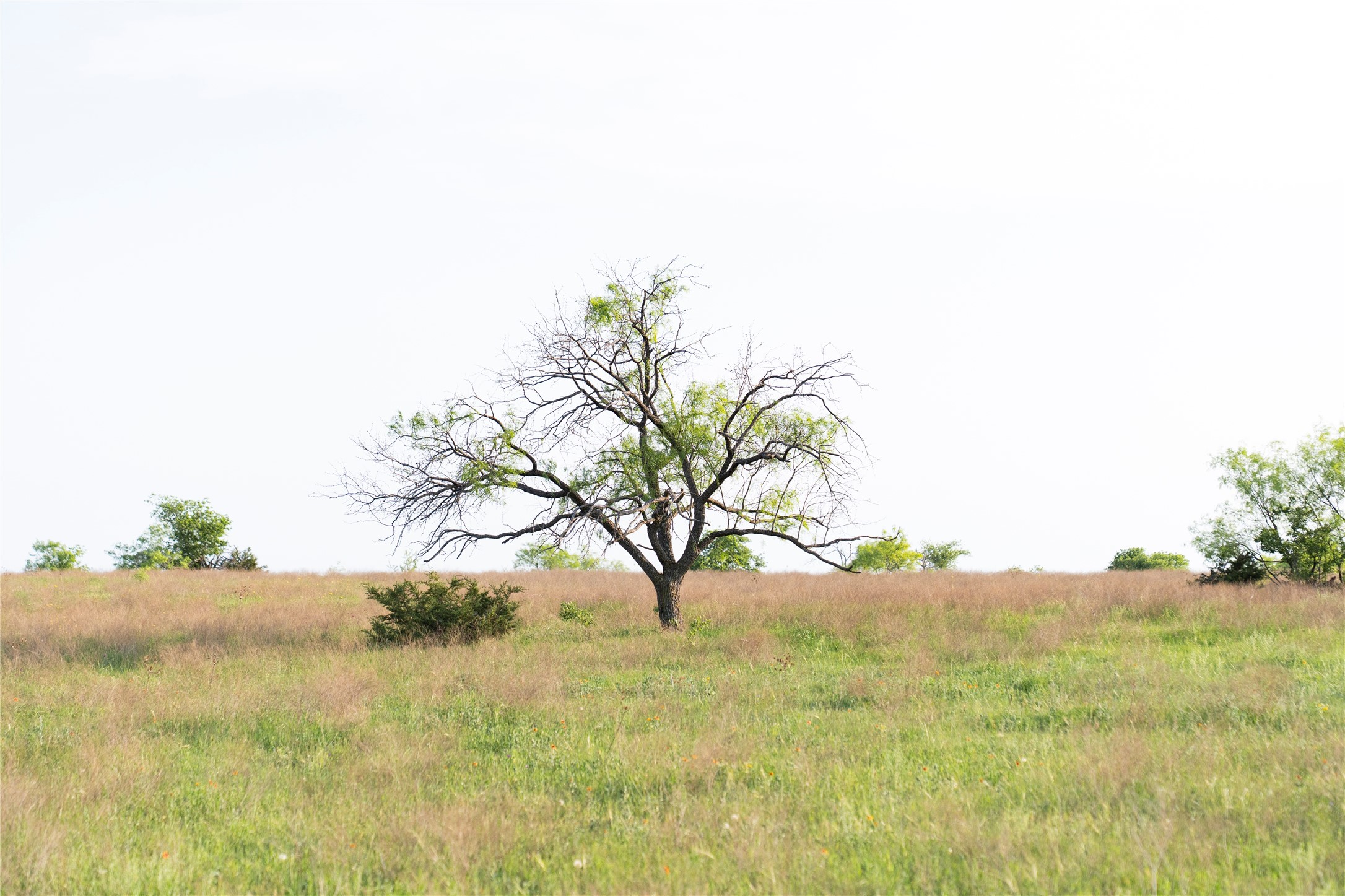 Tbd Rattler Hill Road Mcgregor TX 76657