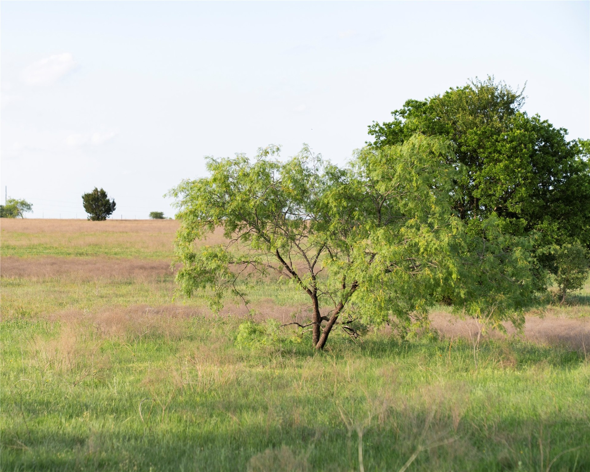Tbd Rattler Hill Road Mcgregor TX 76657