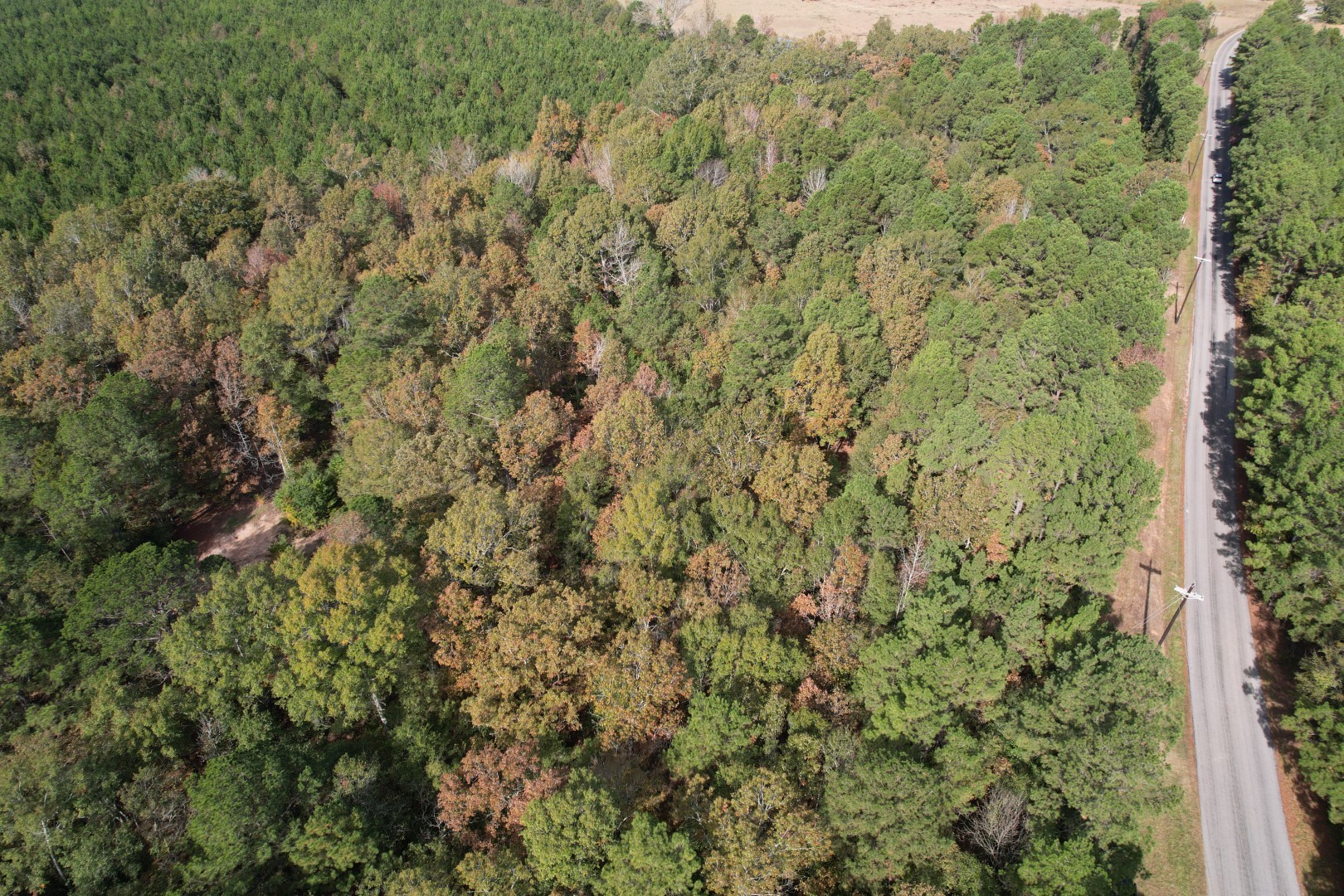 Tbd-a Boggy Road Waskom TX 75692
