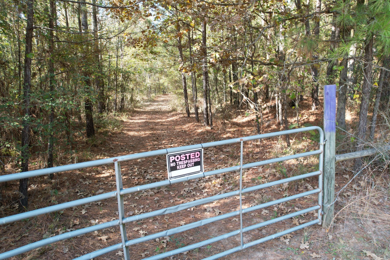 Tbd-a Boggy Road Waskom TX 75692