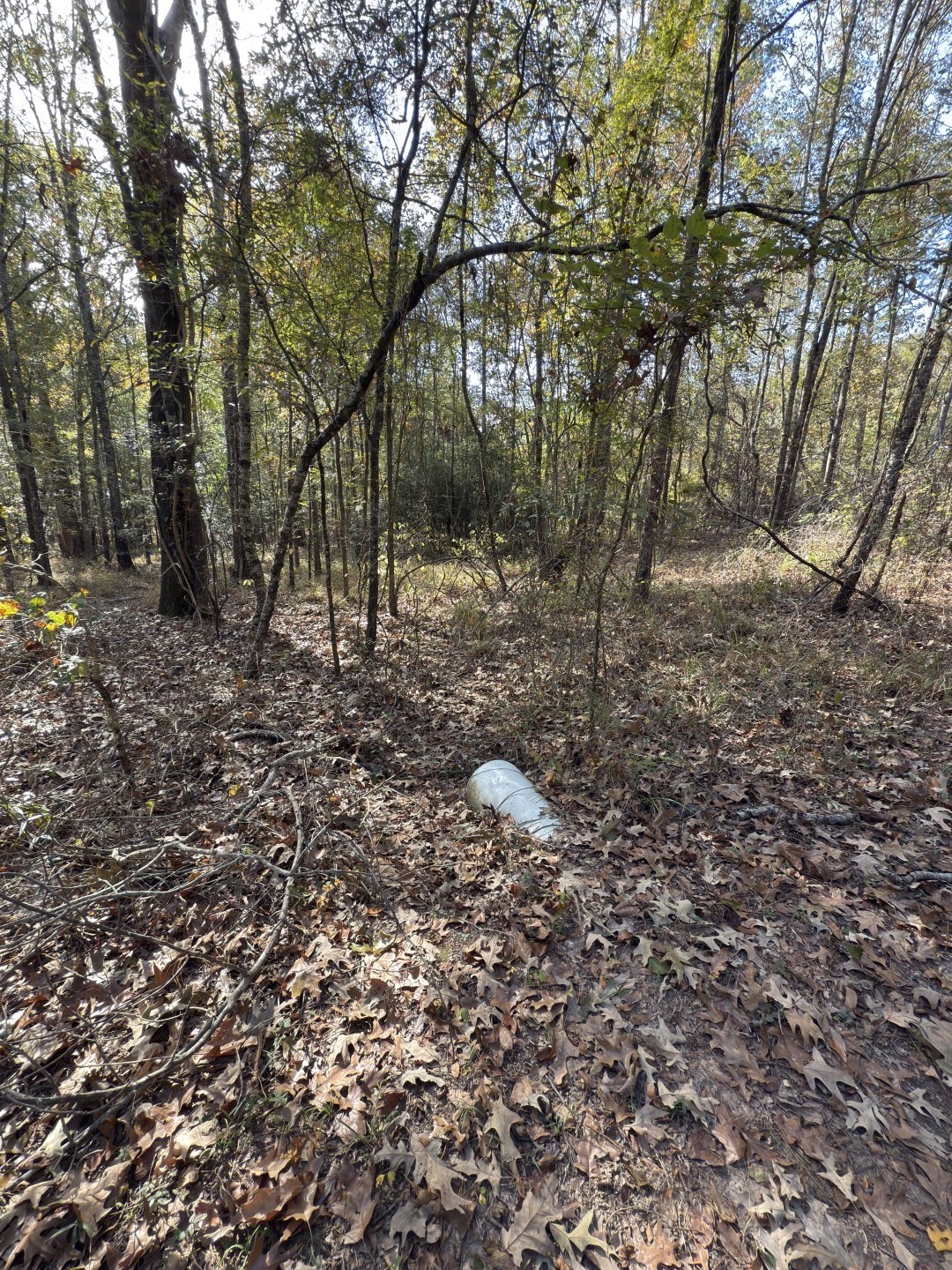 Tbd-a Boggy Road Waskom TX 75692