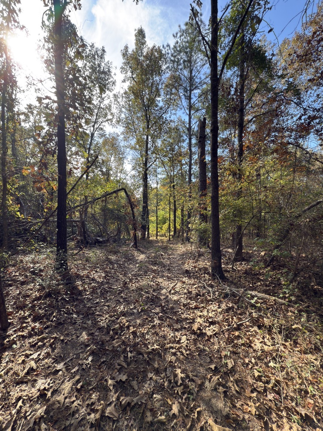 Tbd-a Boggy Road Waskom TX 75692
