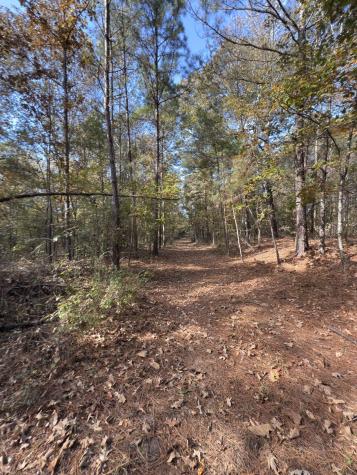 Tbd-a Boggy Road Waskom TX 75692
