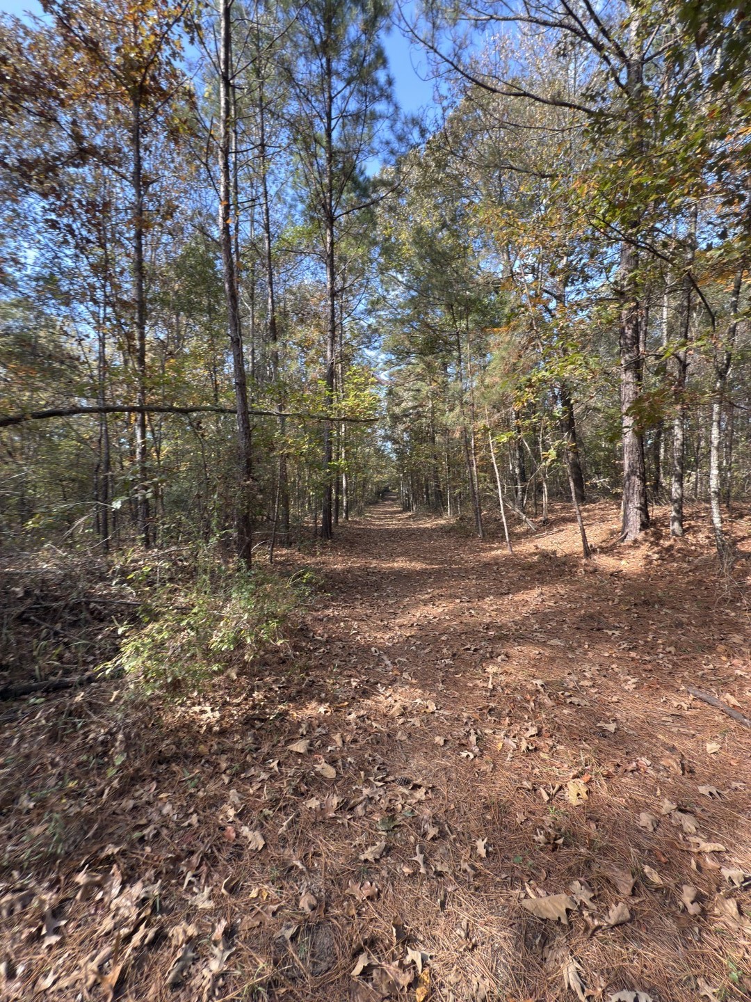 Tbd-a Boggy Road Waskom TX 75692