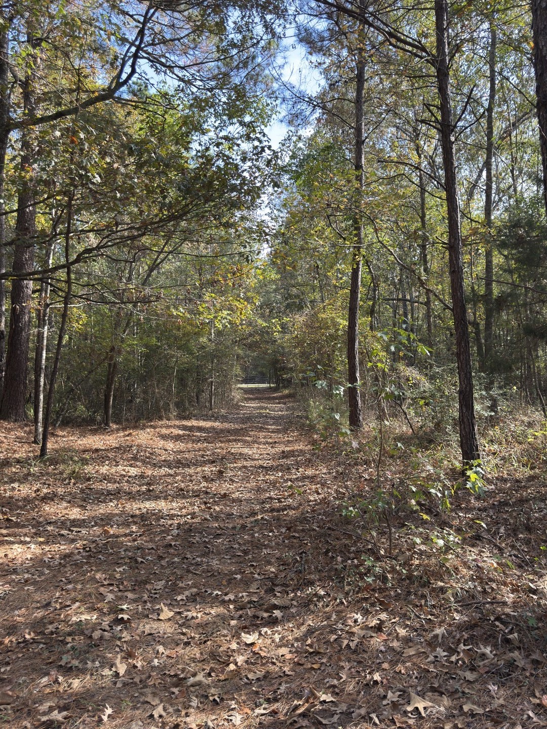 Tbd-a Boggy Road Waskom TX 75692