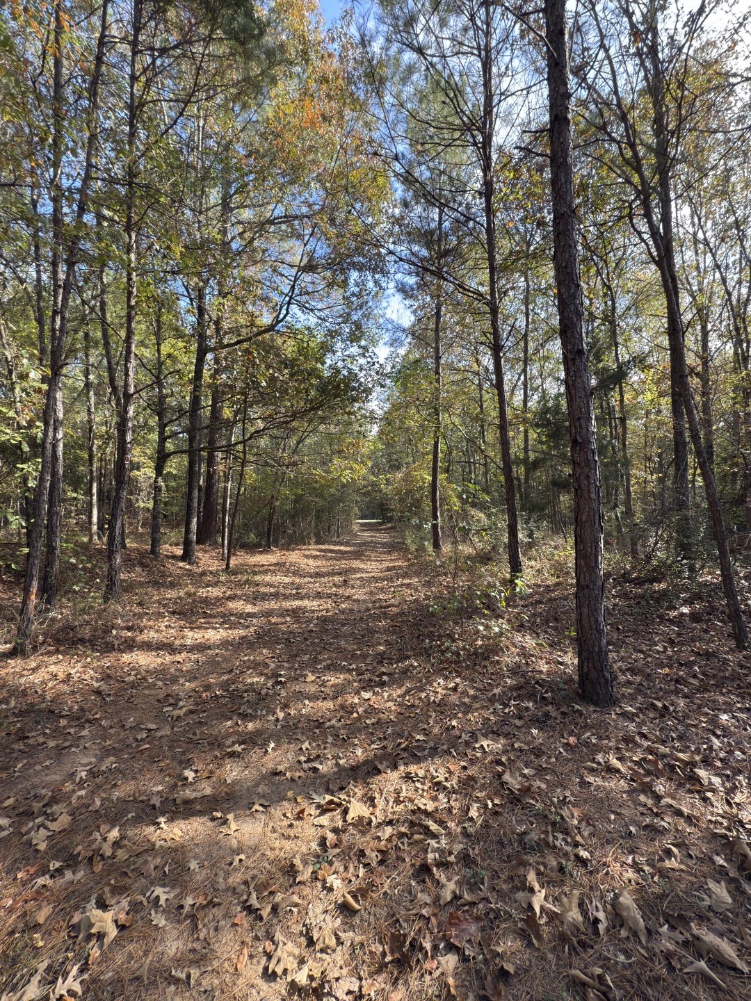 Tbd-a Boggy Road Waskom TX 75692