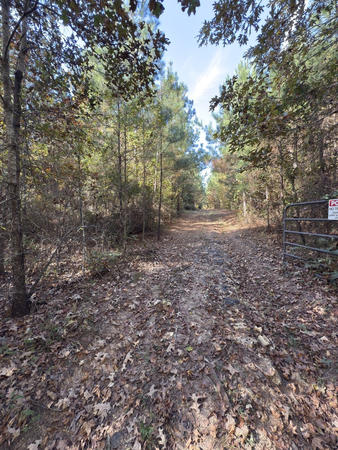 Tbd-a Boggy Road Waskom TX 75692