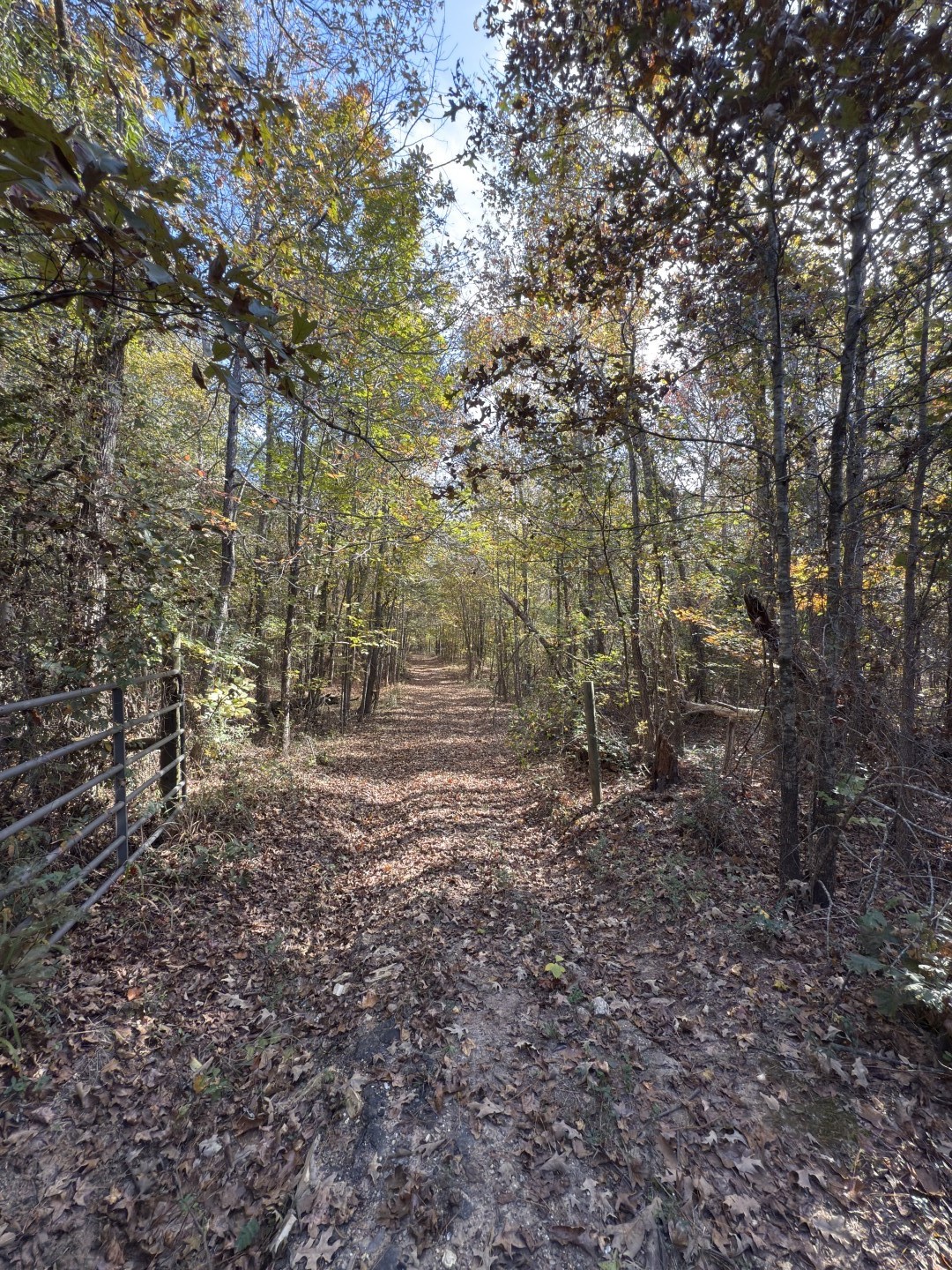 Tbd-a Boggy Road Waskom TX 75692