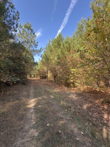 Tbd-a Boggy Road Waskom TX 75692