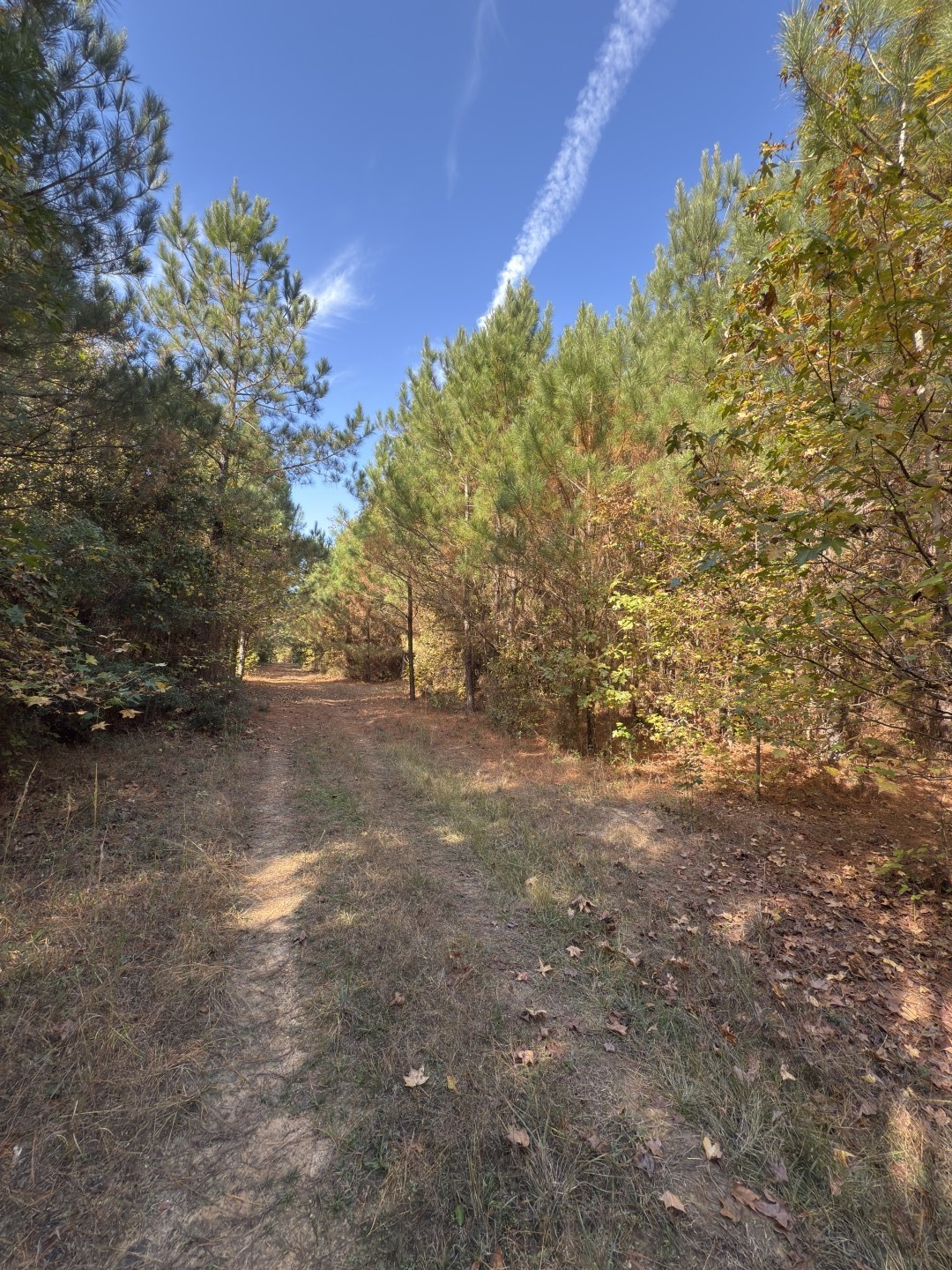 Tbd-a Boggy Road Waskom TX 75692