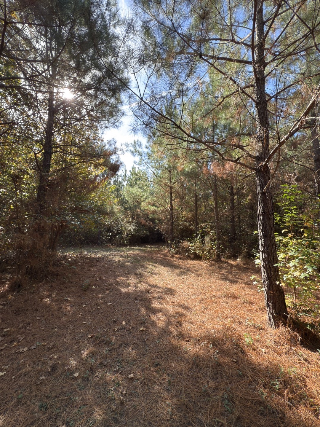Tbd-a Boggy Road Waskom TX 75692