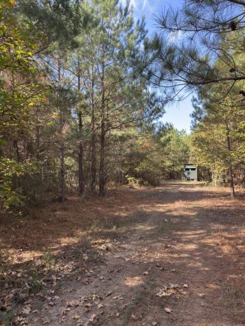 Tbd-a Boggy Road Waskom TX 75692