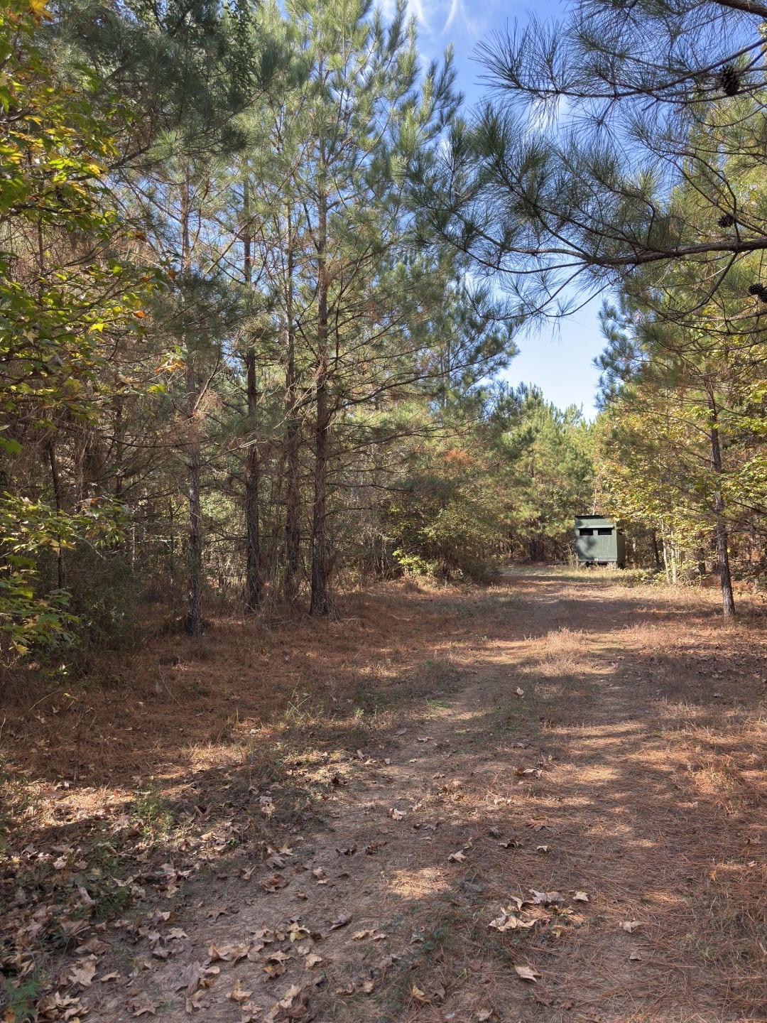 Tbd-a Boggy Road Waskom TX 75692