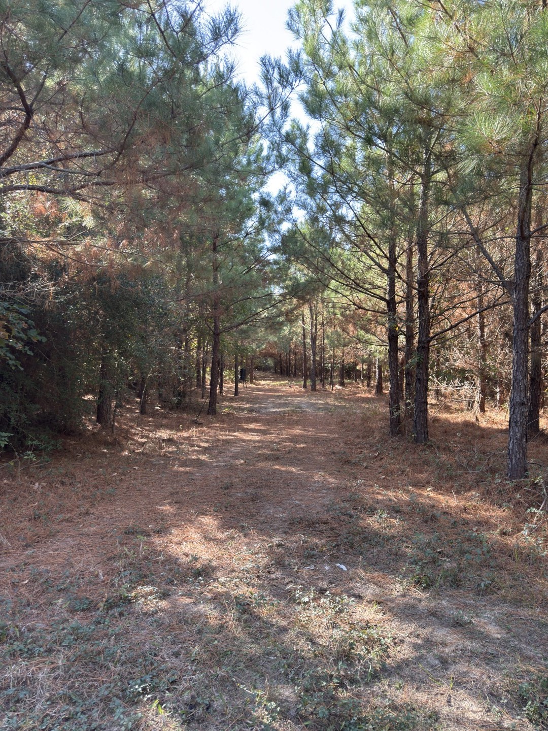 Tbd-a Boggy Road Waskom TX 75692