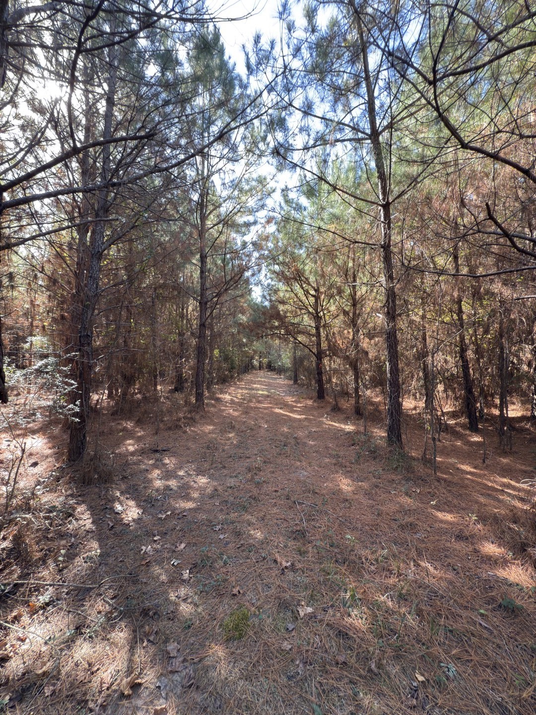 Tbd-a Boggy Road Waskom TX 75692