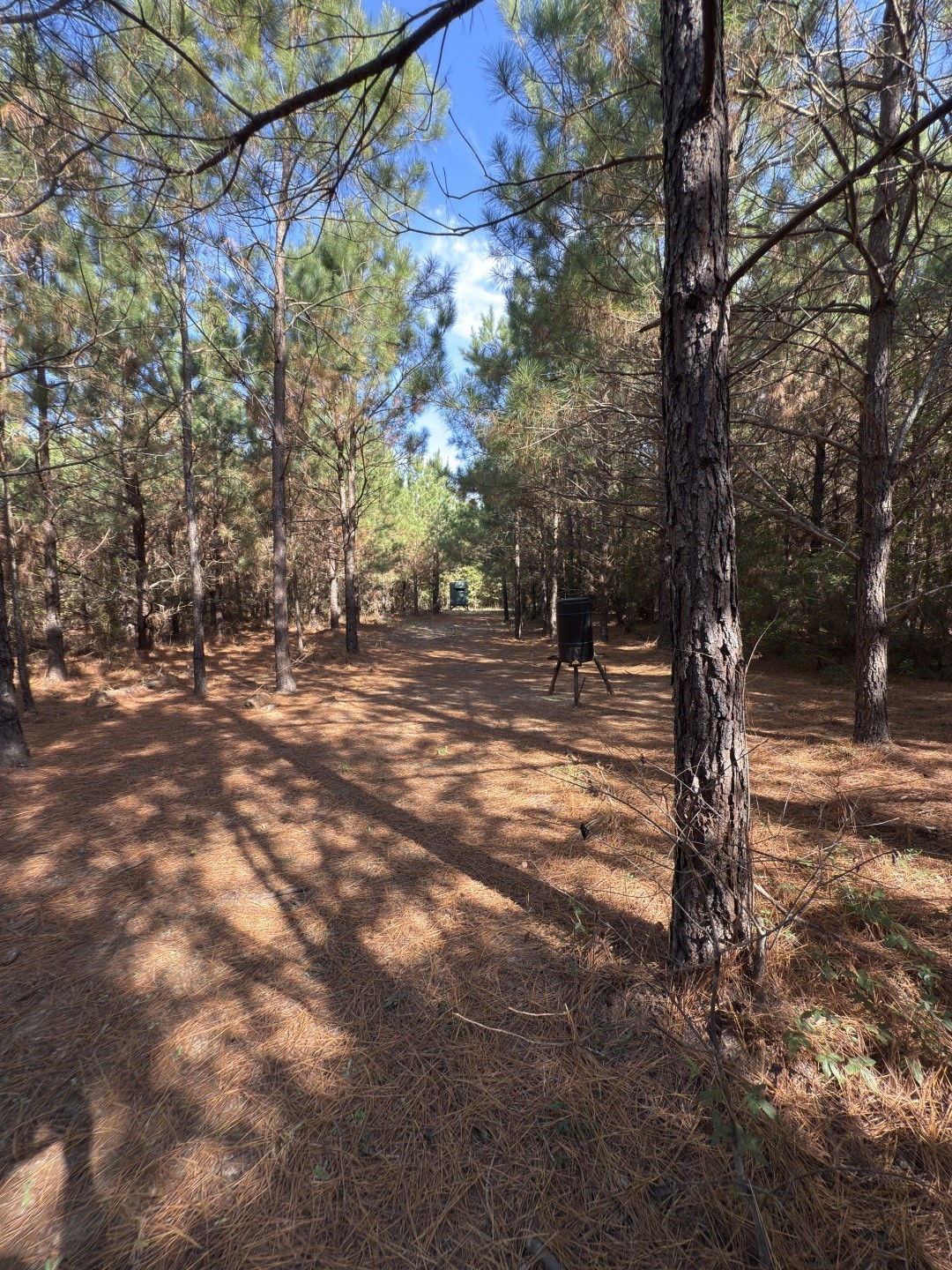 Tbd-a Boggy Road Waskom TX 75692