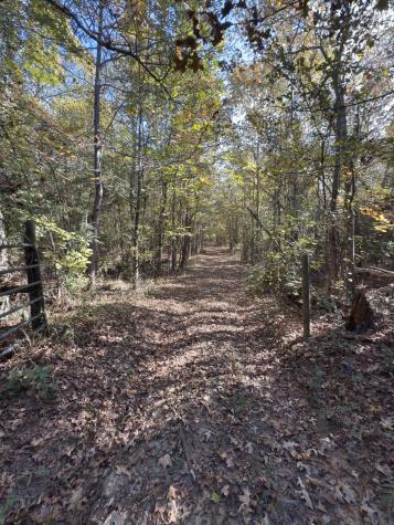 Tbd-a Boggy Road Waskom TX 75692