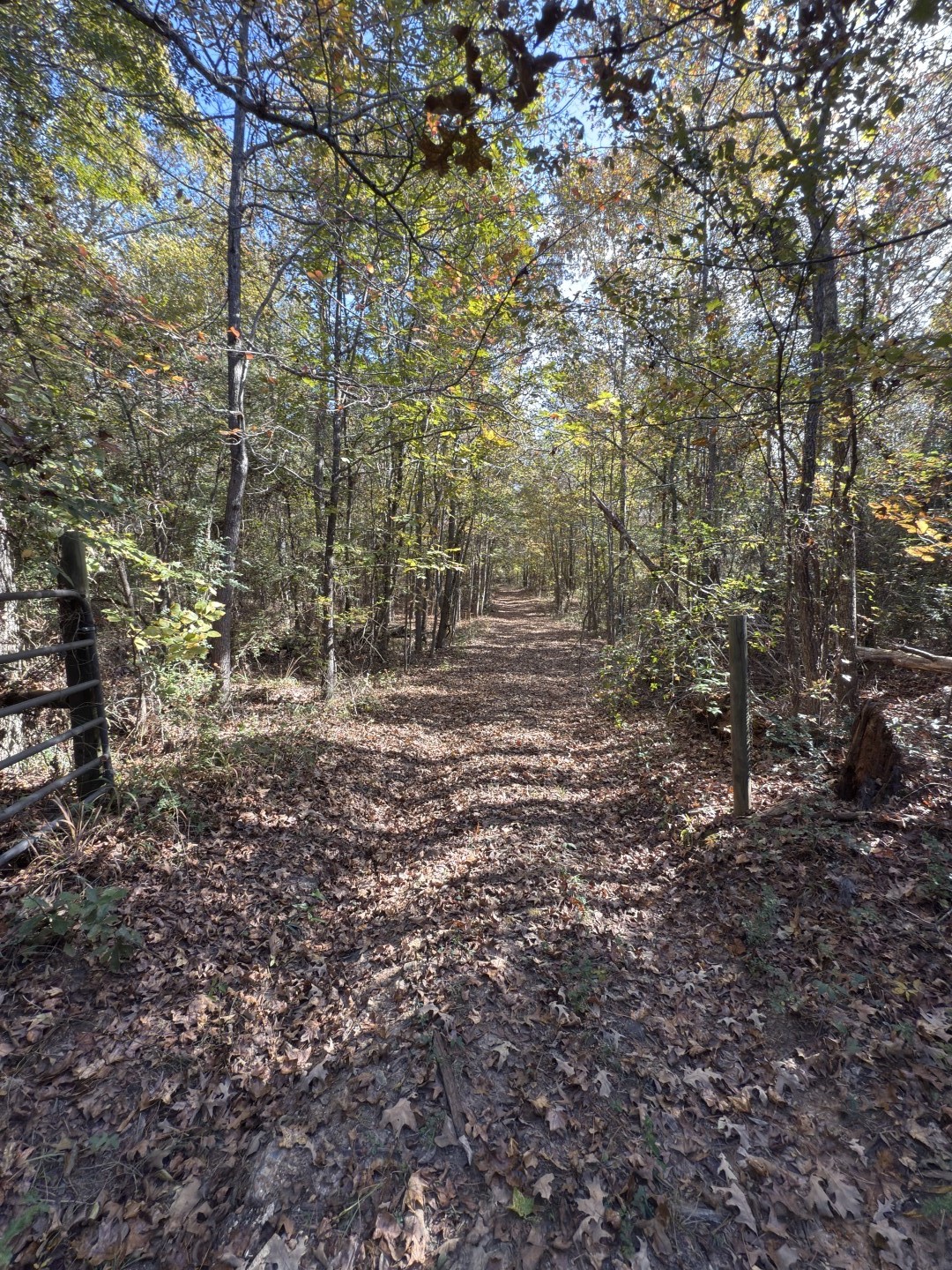Tbd-a Boggy Road Waskom TX 75692