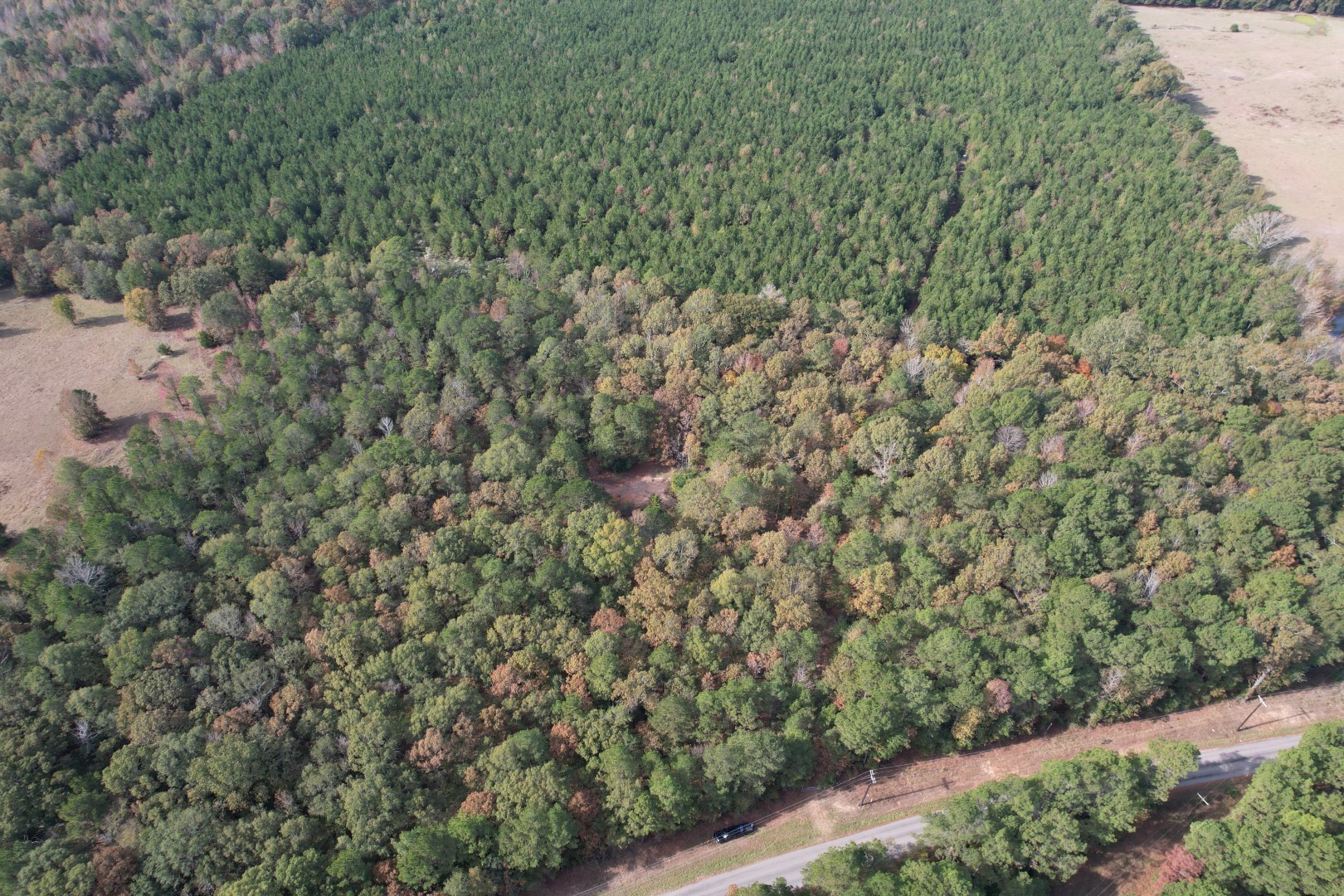 Tbd-a Boggy Road Waskom TX 75692
