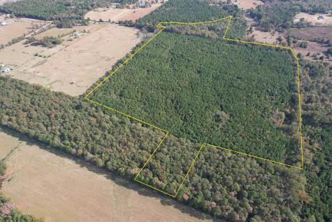 TBD-A Boggy Road Waskom TX 75692