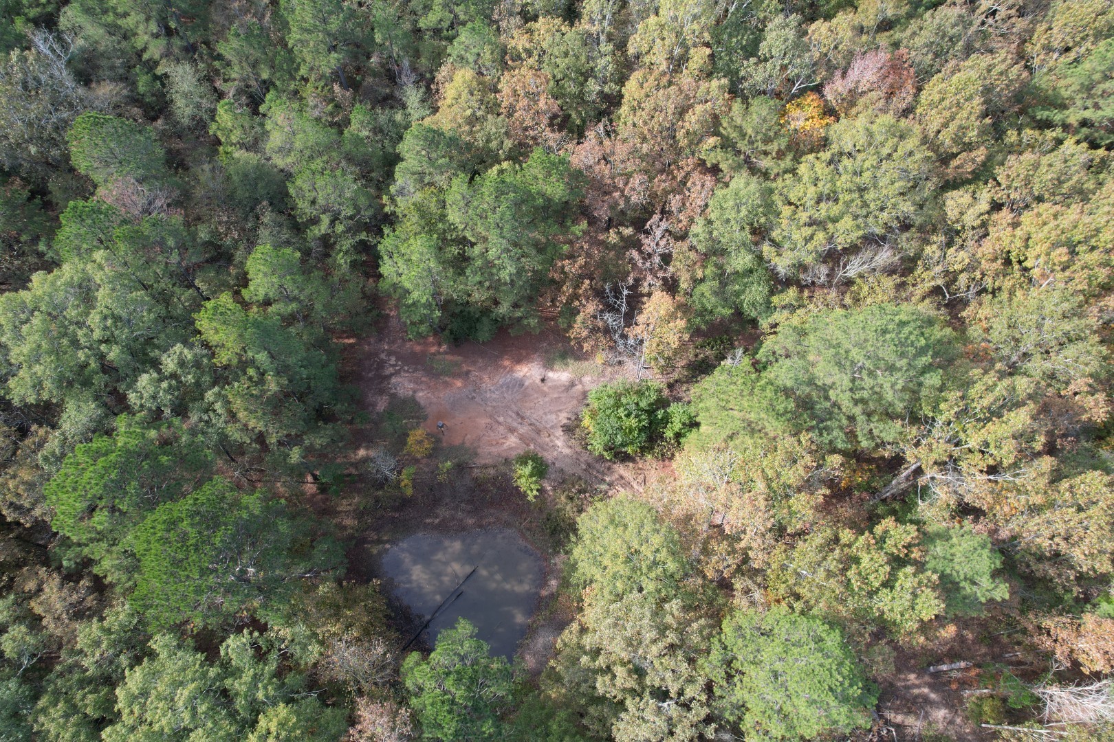 Tbd-a Boggy Road Waskom TX 75692