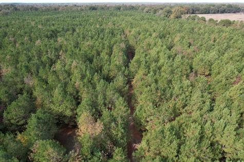 Tbd-a Boggy Road Waskom TX 75692