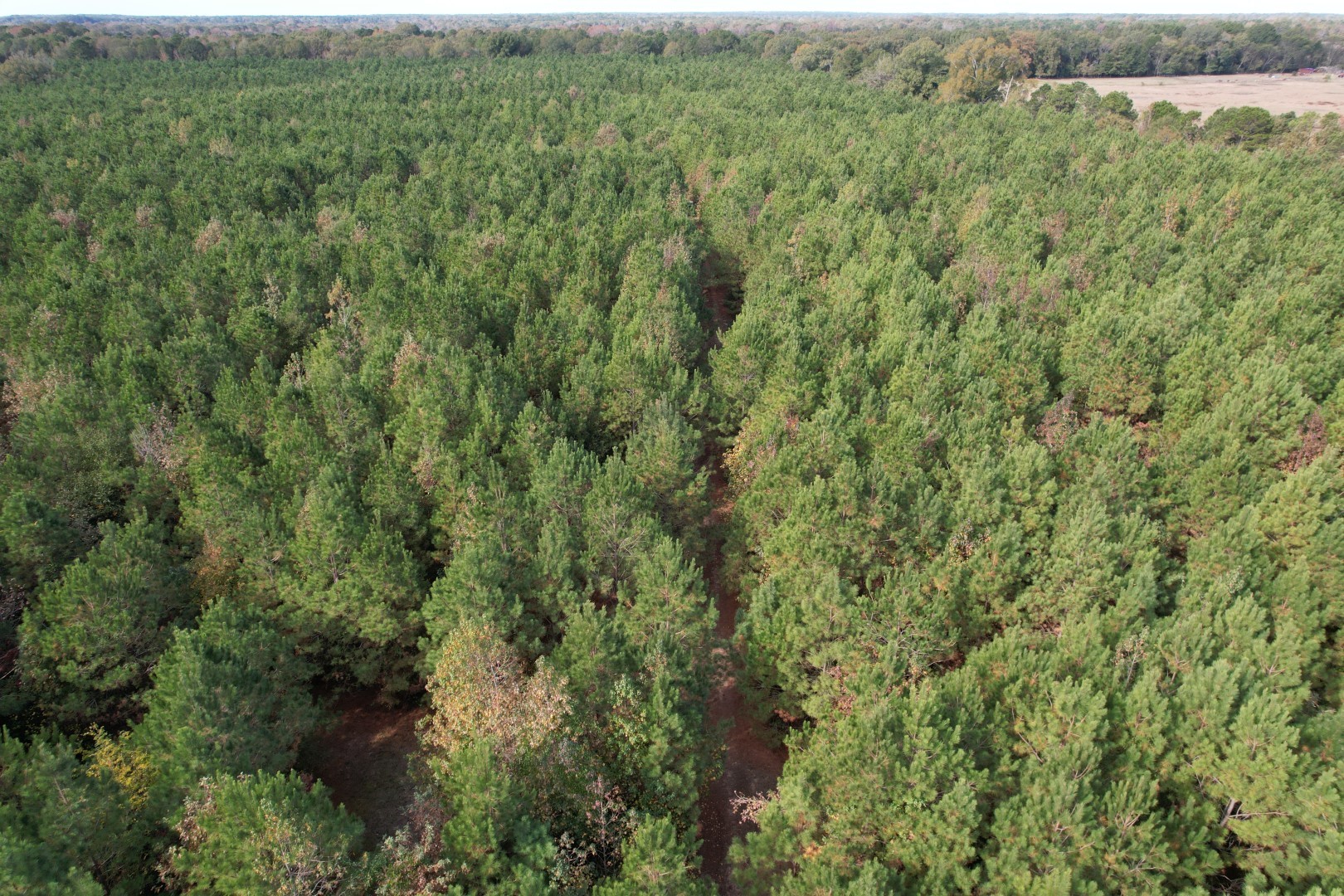Tbd-a Boggy Road Waskom TX 75692