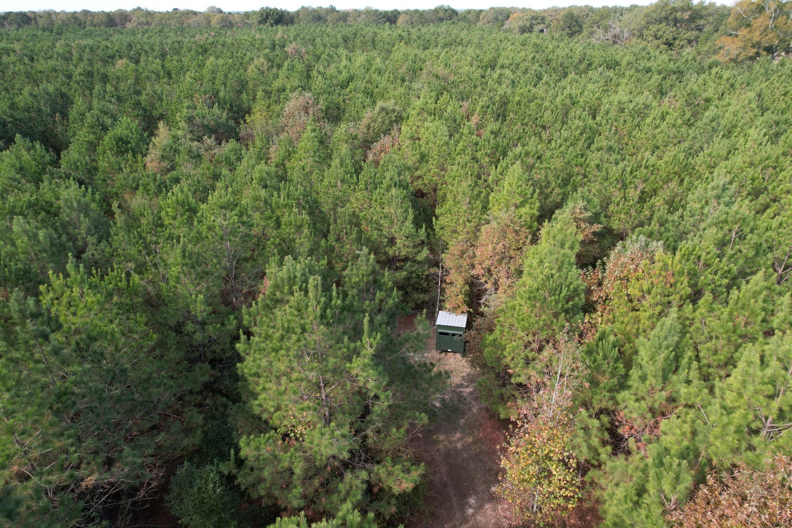 Tbd-a Boggy Road Waskom TX 75692