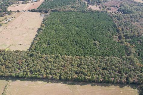 Tbd-a Boggy Road Waskom TX 75692