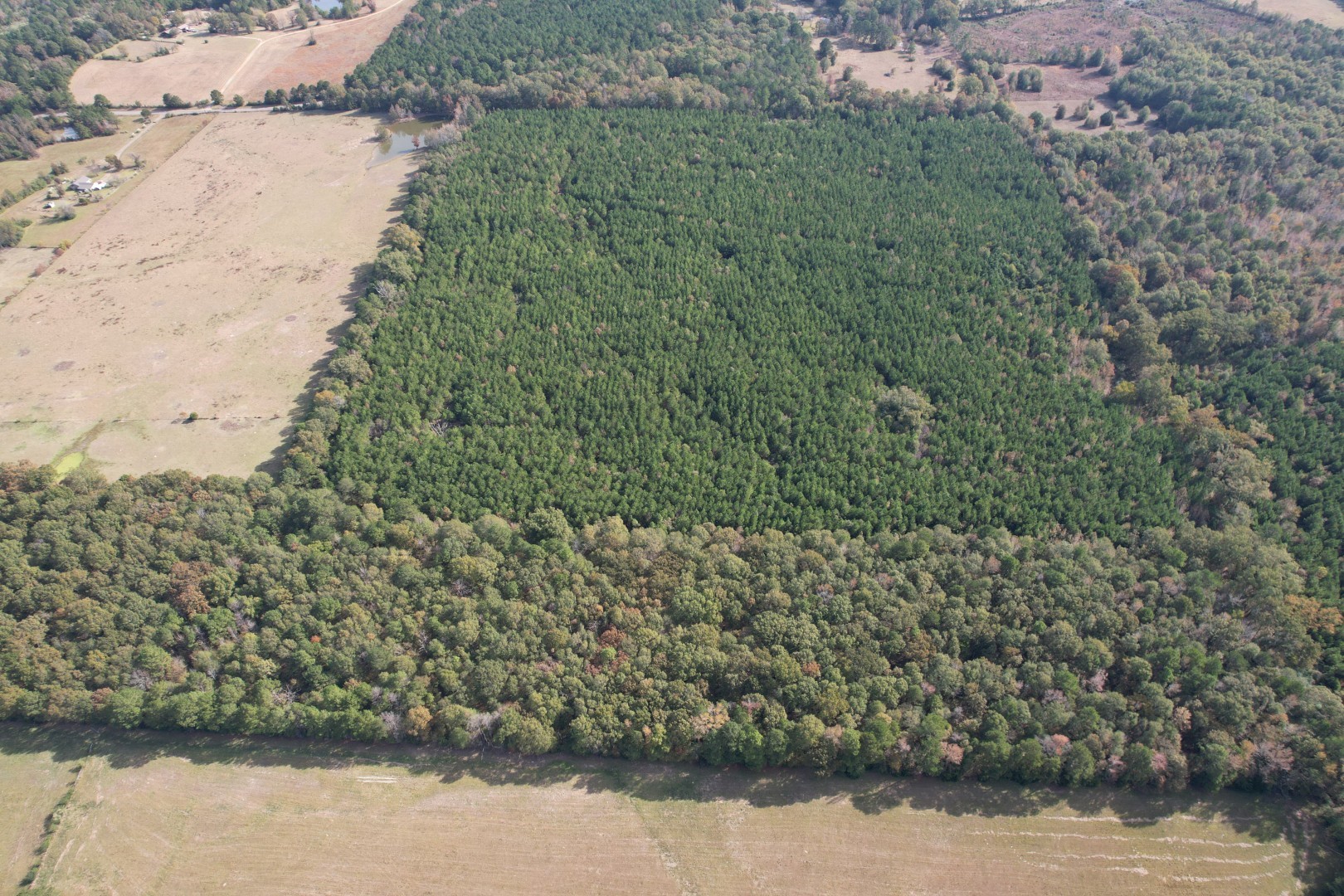 Tbd-a Boggy Road Waskom TX 75692