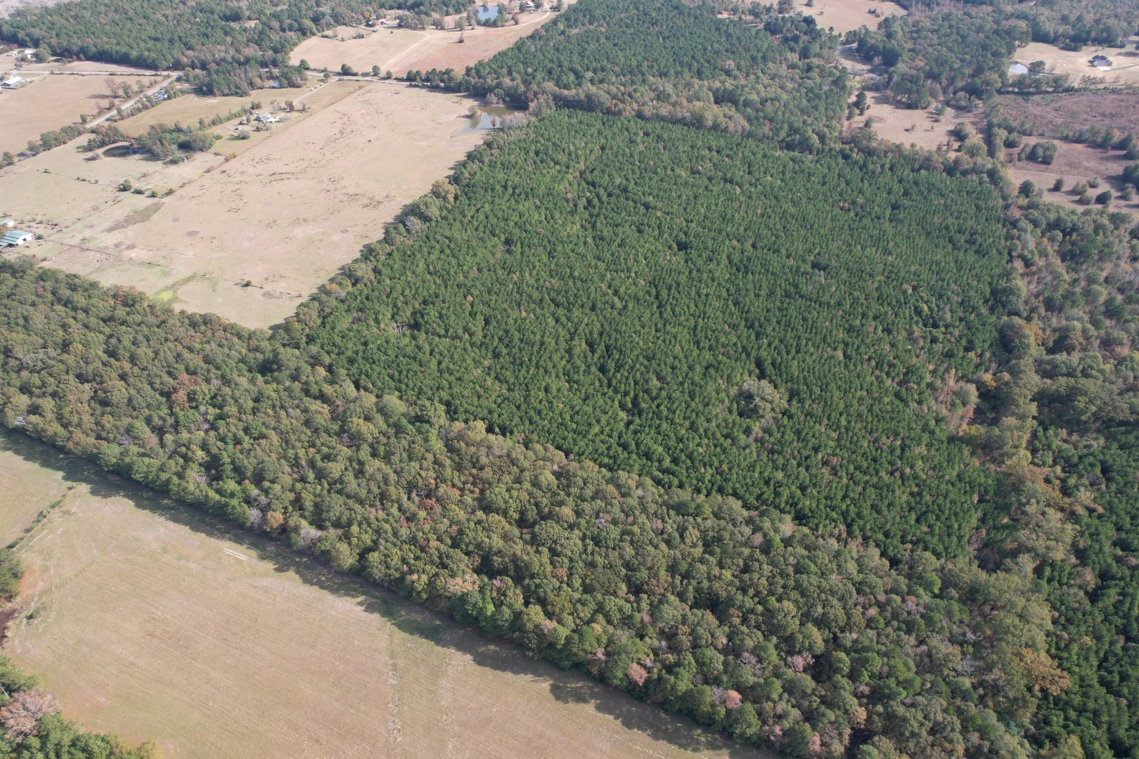 Tbd-a Boggy Road Waskom TX 75692