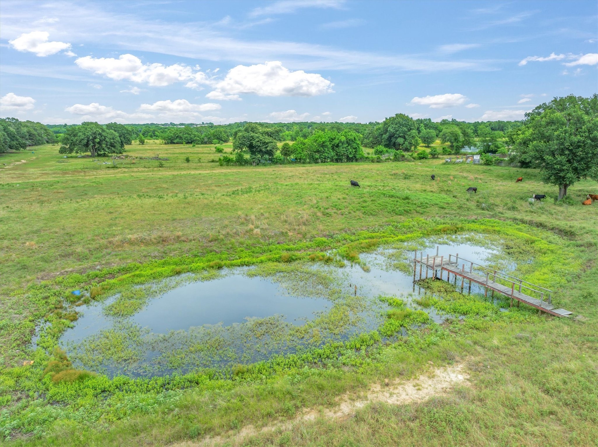 1576 County Road 303 Terrell TX 75160