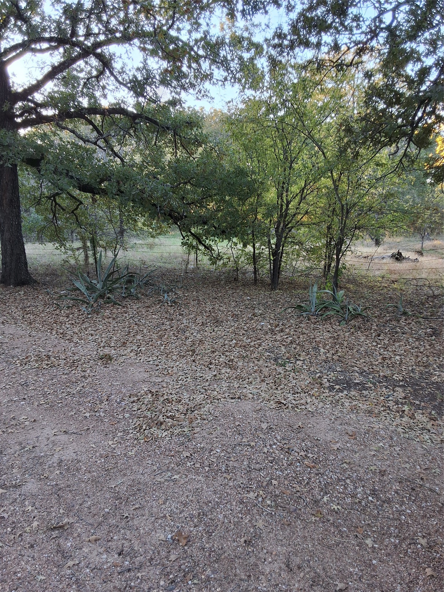 5765 Tokio Road West TX 76691